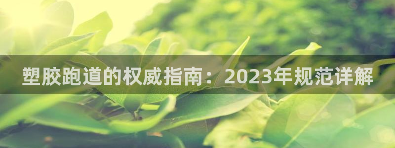 红足体育网
