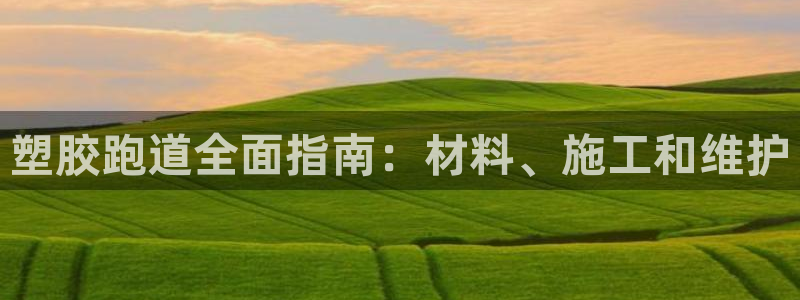 红世一足球比分