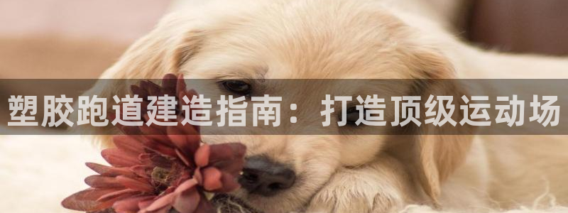 百度红足一1世