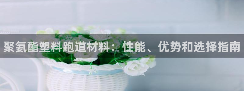 红足1世足球比分预测
