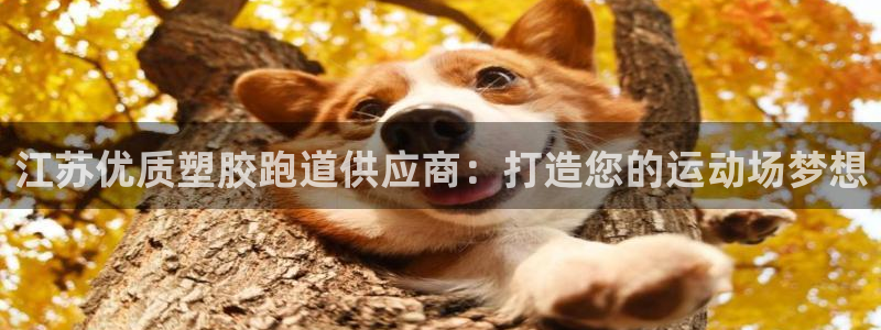 红足一1世皇冠地址