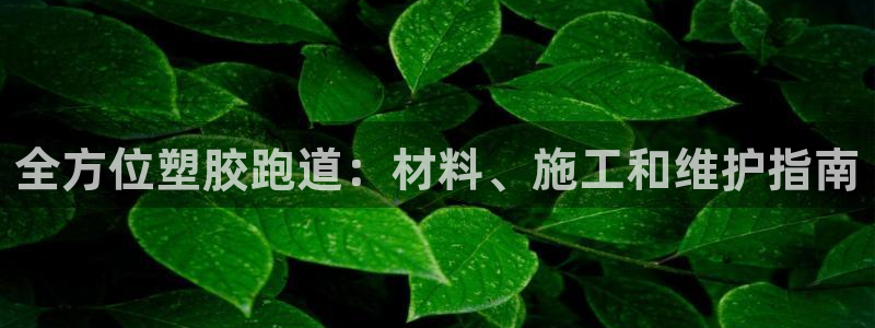 红足1世足球