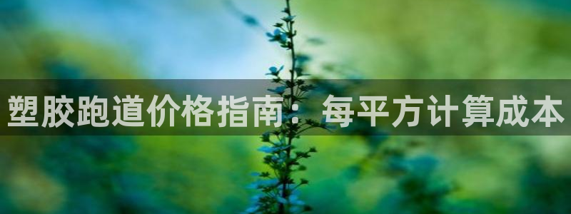 红足一1世开奖记录