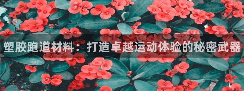 红足一1世666814足球