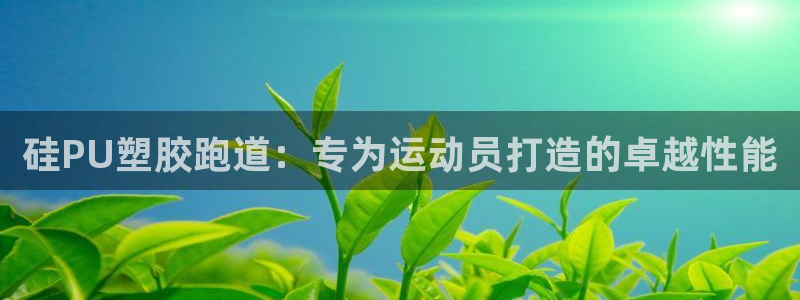 红足1世手足球比分