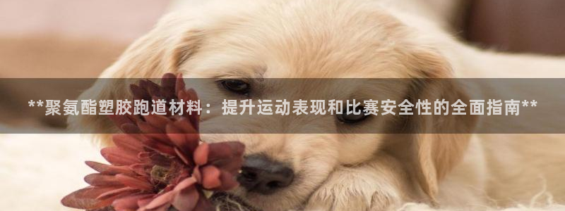 66814红足一66814世