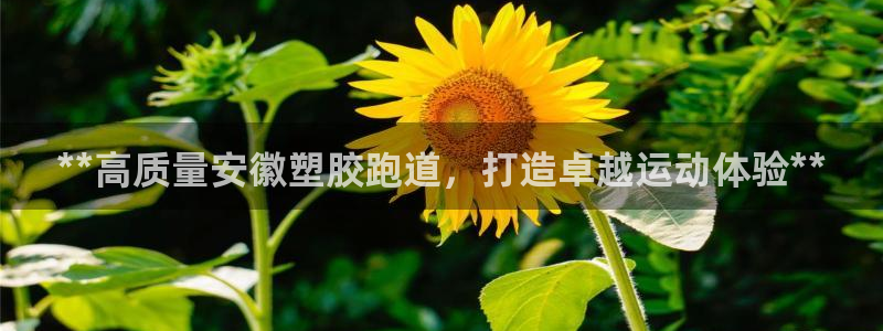 红足一1世皇冠