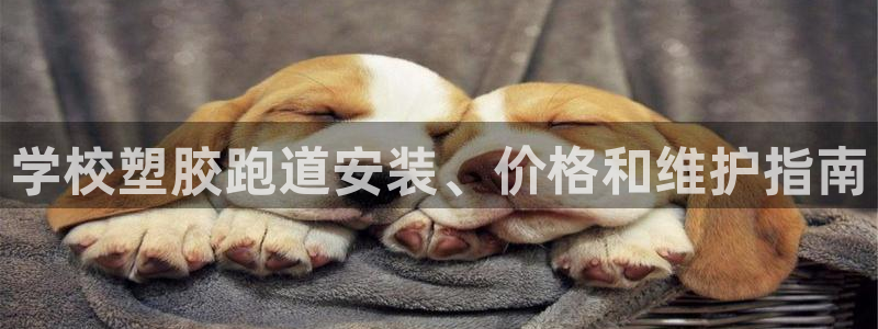 红足一1世平台