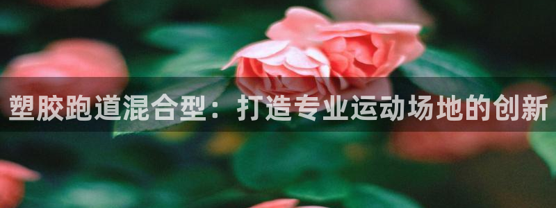 红足1一世开奖版