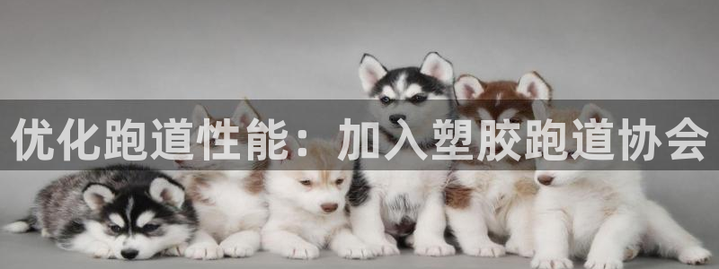 红足体育网
