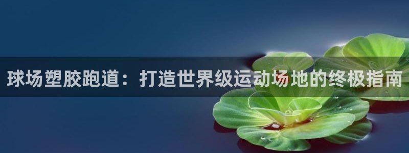 新2足球平台出租网站