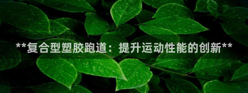 红足1世足球比分：**复合型塑胶跑道：提升运动性能的创新**