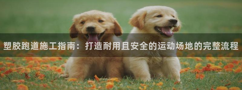 红足一1世平台:塑胶跑道施工指南:打造耐用且安全的运动场地的完整流程