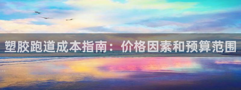 百度红足一1世：塑胶跑道成本指南：价格因素和预算范围