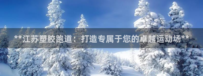 红足1一世 2站：**江苏塑胶跑道：打造专属于您的卓越运动场**