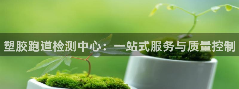 红足一丰：塑胶跑道检测中心：一站式服务与质量控制