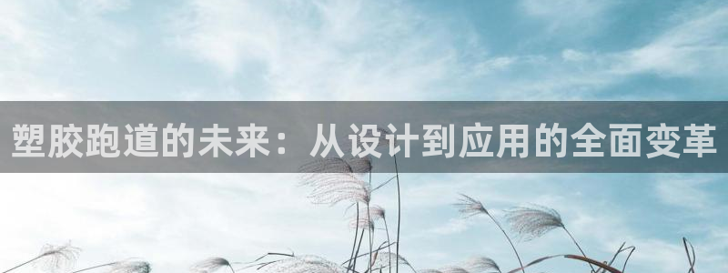 66814红足：塑胶跑道的未来：从设计到应用的全面变革