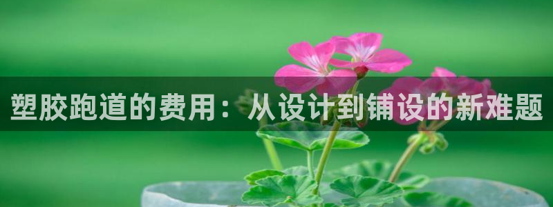 777814红·足一世：塑胶跑道的费用：从设计到铺设的新难题