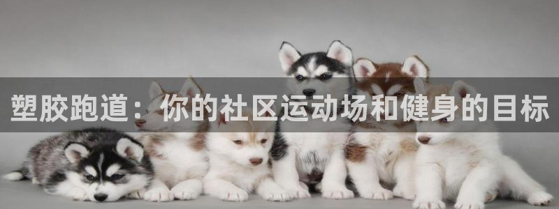 红足一1世比分网：塑胶跑道：你的社区运动场和健身的目标