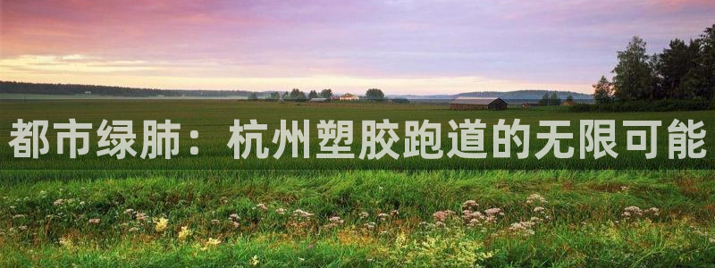 新2足球平台出租网站：都市绿肺：杭州塑胶跑道的无限可能