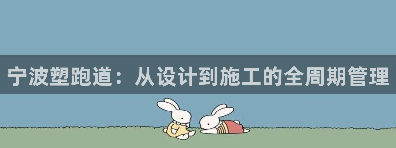 百度红足一1是什么样子的：宁波塑跑道：从设计到施工的全周期管理