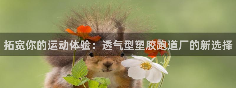 红足1一世足球手机：拓宽你的运动体验：透气型塑胶跑道厂的新选择