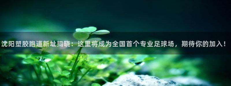 红足1一世开奖版：沈阳塑胶跑道新址揭晓：这里将成为全国首个专业足球场，期待你的加入！