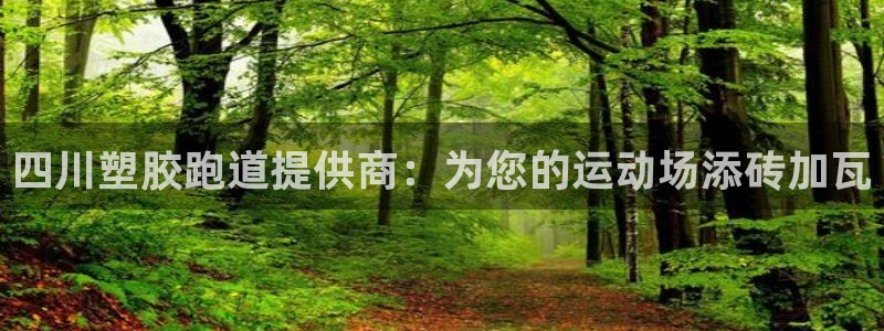 红足一生世：四川塑胶跑道提供商：为您的运动场添砖加瓦