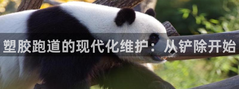 红足1世开奖预测：塑胶跑道的现代化维护：从铲除开始