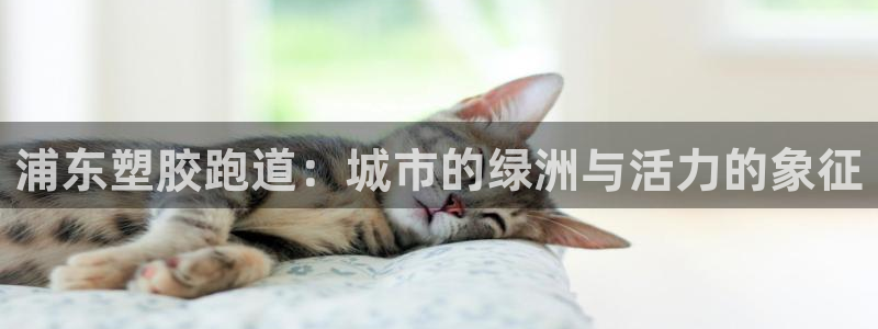 333814红足1世：浦东塑胶跑道：城市的绿洲与活力的象征
