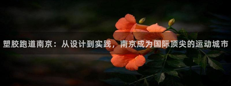 红足一球：塑胶跑道南京：从设计到实践，南京成为国际顶尖的运动城市