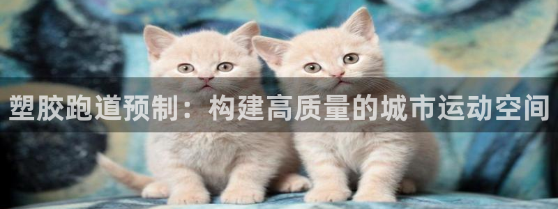 红足一1世手机版新皇冠：塑胶跑道预制：构建高质量的城市运动空间