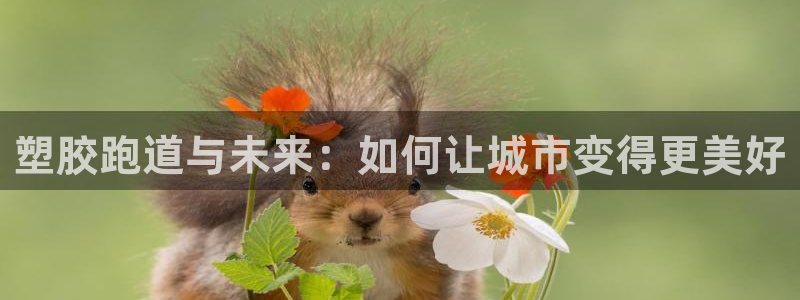 44814红足：塑胶跑道与未来：如何让城市变得更美好