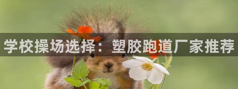 4633333开奖结果4176一点红：学校操场选择：塑胶跑道厂家推荐