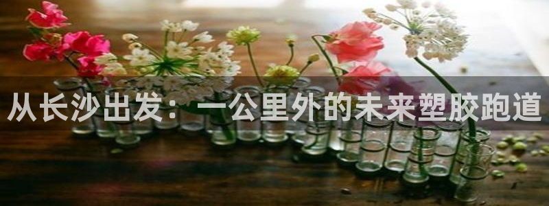 红足一丰：从长沙出发：一公里外的未来塑胶跑道