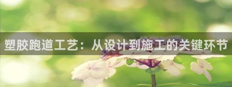 红姐现场直播开奖记录：塑胶跑道工艺：从设计到施工的关键环节