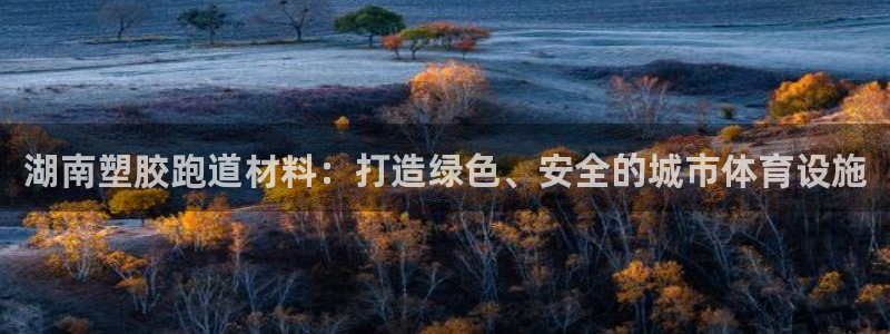 红足1一世红：湖南塑胶跑道材料：打造绿色、安全的城市体育设施
