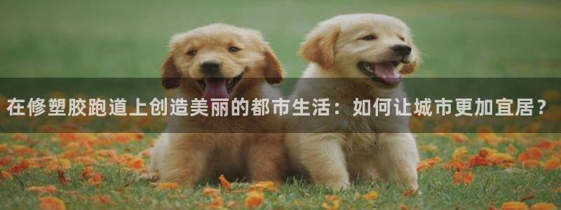 红足一1世比分网：在修塑胶跑道上创造美丽的都市生活：如何让城市更加宜居？