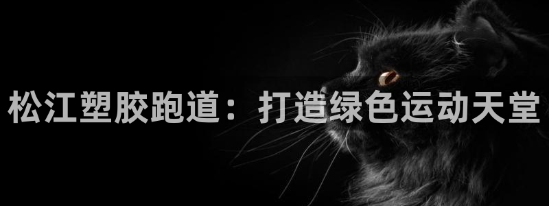 红足1世足球网址大全：松江塑胶跑道：打造绿色运动天堂