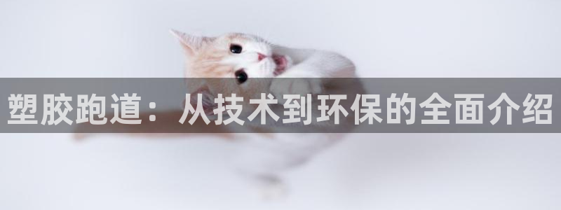 红足1世手机版下载：塑胶跑道：从技术到环保的全面介绍