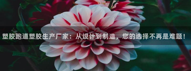 红足体育网：塑胶跑道塑胶生产厂家：从设计到制造，您的选择不再是难题！