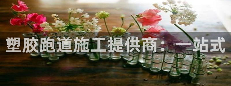 66814红足一66814世:塑胶跑道施工提供商:一站式