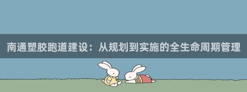 新2足球平台出租网站：南通塑胶跑道建设：从规划到实施的全生命周期管理