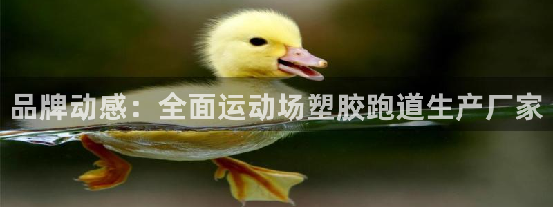 红足1世官网:品牌动感:全面运动场塑胶跑道生产厂家