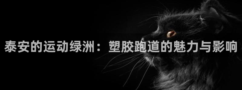 红足一1世666814足球比分网：泰安的运动绿洲：塑胶跑道的魅力与影响