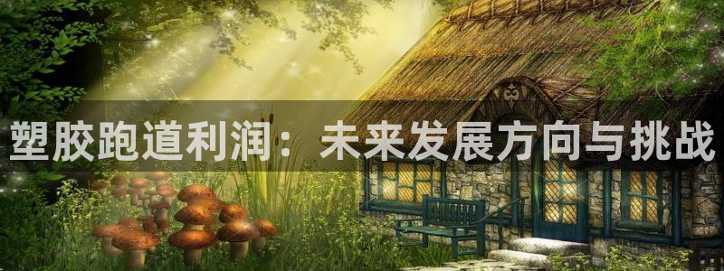 红足 世足球手机网:塑胶跑道利润:未来发展方向与挑战