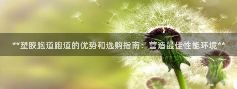 百度红足一1是干什么的