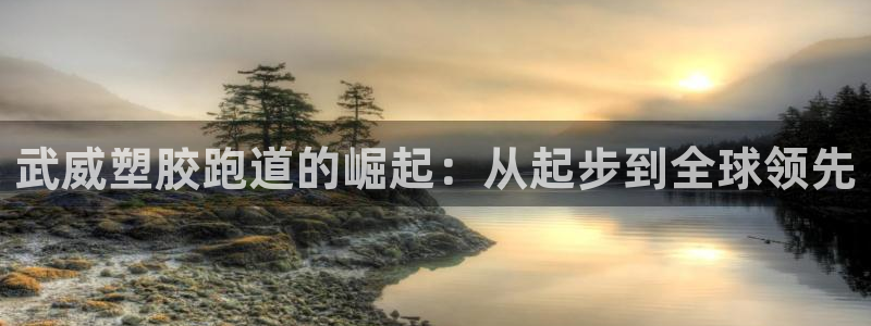 新2足球平台出租网站:武威塑胶跑道的崛起:从起步到全球领先