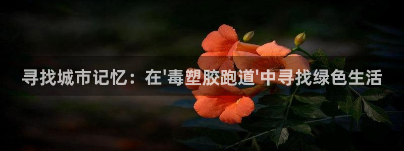 红足一生世：寻找城市记忆：在\'毒塑胶跑道\'中寻找绿色生活