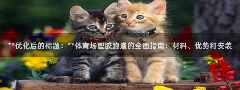 百度红足一1是什么样子的:**优化后的标题:**体育场塑胶跑道的全面指南:材料、优势和安装